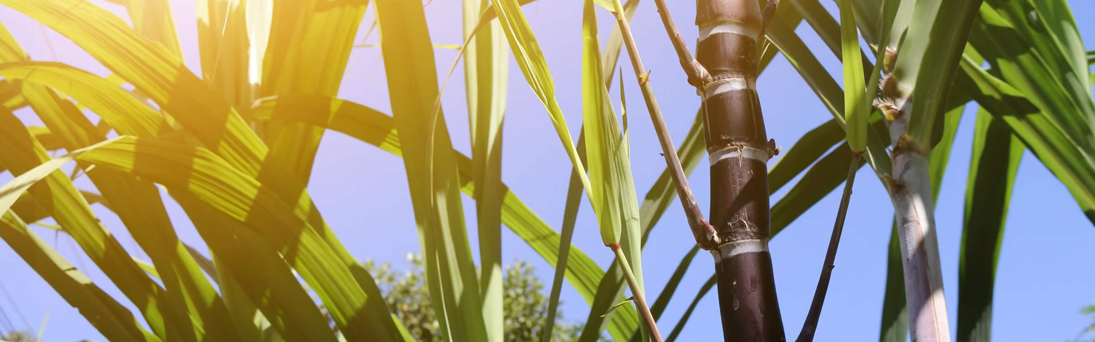 Khám phá thêm thông tin chi tiết